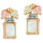 Opal with Blue Topaz Earrings - by Landstrom's